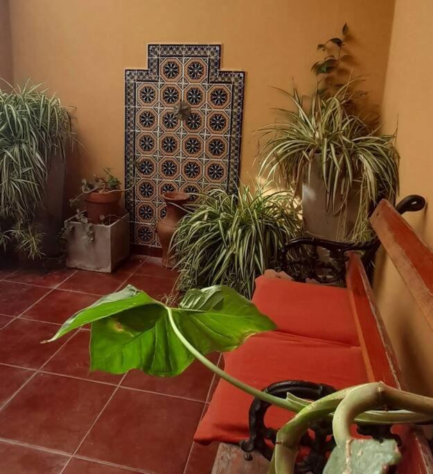 ¨Las Mayolicas¨ Hermoso Depto Con Patio Espanol Mendoza Extérieur photo